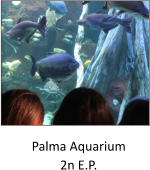 Palma Aquarium 2n E.P.
