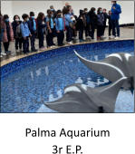 Palma Aquarium 3r E.P.