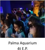 Palma Aquarium 4t E.P.